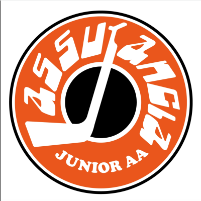 Hockey junior AA St-Georges