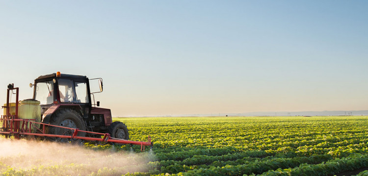 Agricole