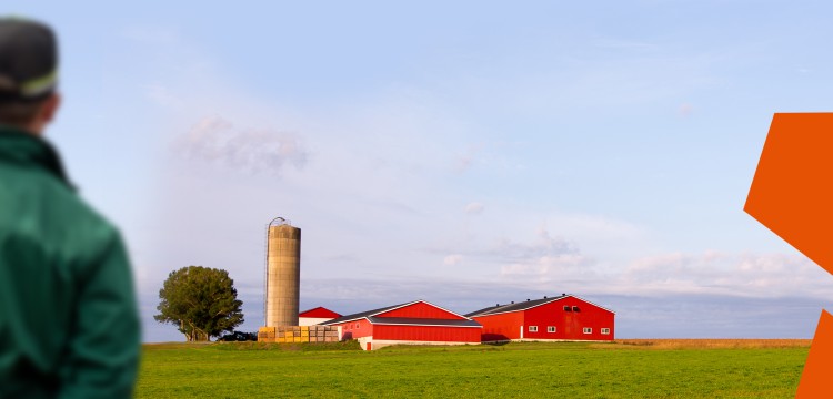 Assurance Agricole